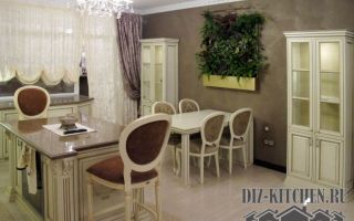 Совмещенная классическая кухня с фитомодулем в квартире-студии