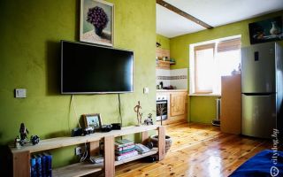 Деревянная кухня 7 кв.м с гостиной